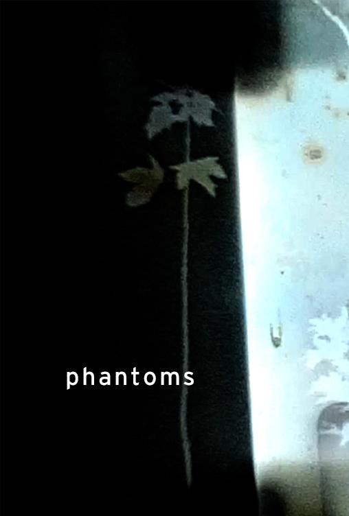 phantoms